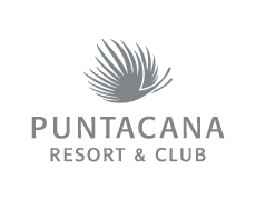 Logo Punta Cana Gris